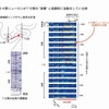 36 野－TE 野の協調的活動の例
