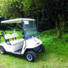 EZGO（米国、イージーゴー）製2人乗りカートなどの姿もあった