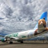 フロンティア航空（Frontier Airlines）