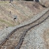 野岩鉄道の会津鬼怒川線、9月19日以降は一部気動車で全線再開 画像
