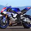 2015鈴鹿8時間耐久ロードレースSSTクラス優勝「team R1 & YAMALUBE」のYZF-R1。