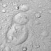 NASA土星探査機、衛星エンケラドス北極の高解像度画像を撮影（3）