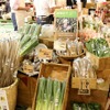 「日本橋三越本店」の本館1階・中央ホールでは、農業女子たちが作った農作物を購入できる