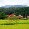 赤茶色の石州瓦の家屋が印象的