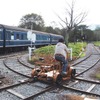 新得町で運行している「狩勝高原エコトロッコ鉄道」。平面交差のクロッシングなどもある本格的なものだ。