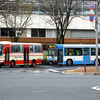 日本交通と日ノ丸自動車（鳥取）