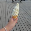 清里・清泉寮名物のソフトクリーム。ただし25年前とは風味が異なる。