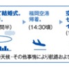 ANAセールス「空の上の結構式」