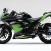 Ninja 250 KRT Edition