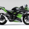 Ninja 250 KRT Edition