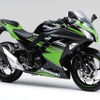 Ninja 250 KRT Edition