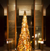 アンダーズ 東京にマリアンヌ・ゲリーによるクリスマスツリーが登場