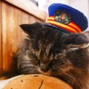 現在は一般の撮影が禁止されている駅長だが、この撮影当時（2009年）は特に制限もなかった。