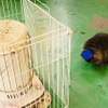 それはストーブ。冬季はここも定位置となる。