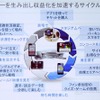 IoTを活用した、リピーターを生み出すサイクル