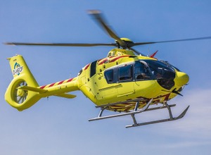 限界価格18日まで！AS365N3+エアバスヘリコプターズ公式1/30モデル エアバス ヘリコプターズ（Airbus Helicopters） | レスポンス