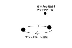初検出された重力波は宇宙誕生直後に形成した原始ブラックホール…東京大学などの研究チーム 画像