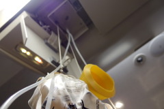 【安全の舞台裏 JAL】非常食を噛みしめる---救難訓練体験 画像