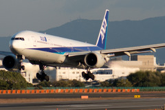 ANAとJAL、国内線・国際線とも搭乗率がアップ…ゴールデンウィーク中の輸送実績 画像