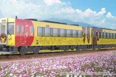 JR東日本の新・ポケモン列車、コンセプトは「親子でピカチュウ」 7月15日デビュー 画像