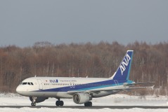 羽田空港で東京地下鉄乗り放題チケット販売---ANA到着客限定 画像