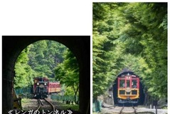 【夏休み】トロッコ列車にミストシャワー…嵯峨野観光鉄道が“涼