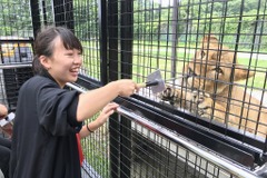 【夏休み】那須サファリパーク、新型アクティビティバス…檻の中に人間が 画像
