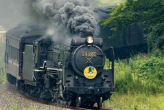 JR西日本「D51 200」復活にあわせてサミット開催 11月24日 画像