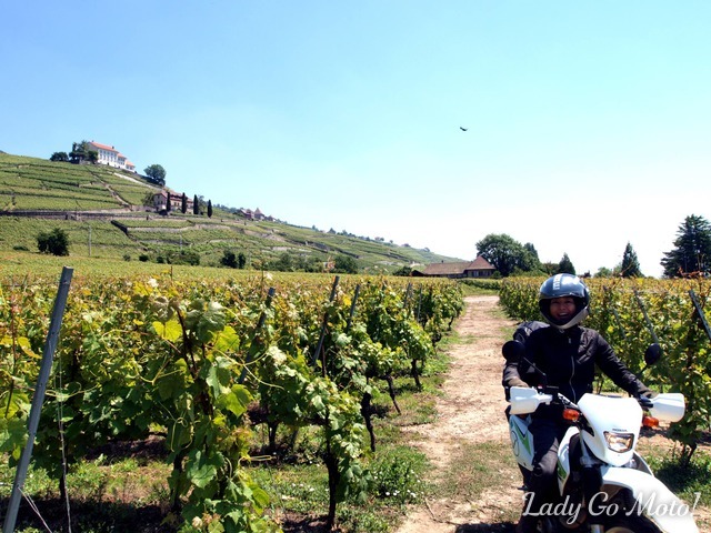2010年6月、世界一周中に立ち寄ったラヴォー。スイス有数のワインの産地であり、ユネスコの世界遺産にも登録された優雅で美しい場所。