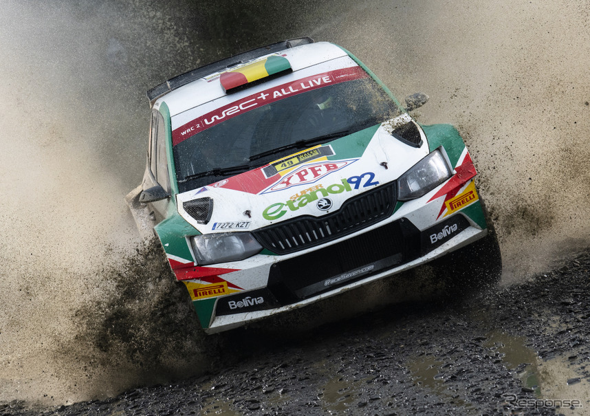 2019年のWRCにおけるピレリ装着車（WRC2への登録参戦車）。