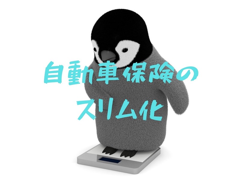 自動車会社経営の筆者が教える「保険のスリム化」　どこを見直せば安心かつ節約できるか