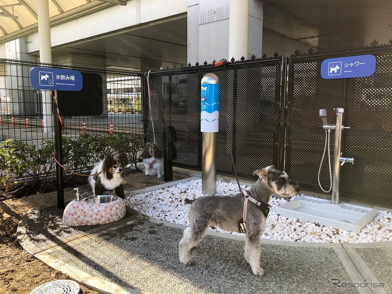 愛犬専用トイレ