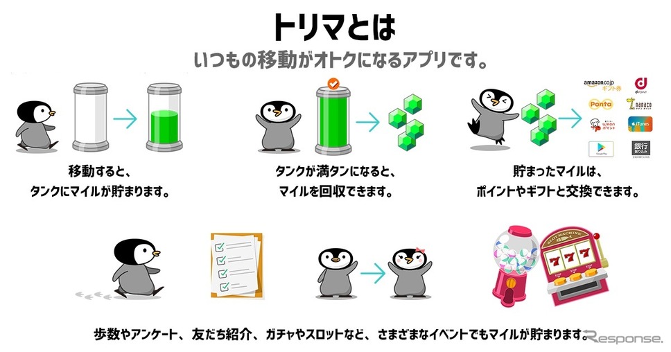 トリマとは