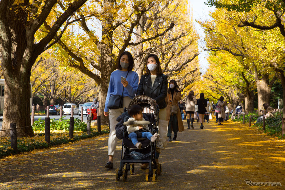 東京都内（11月26日）