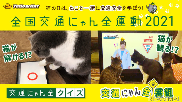 猫参加型「交通にゃん全クイズ」公開＆猫参加型「交通にゃん全番組」地上波放映決定