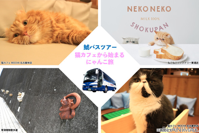 鯱バス、猫好きのための新たなバスツアー“にゃんこ旅”を発売