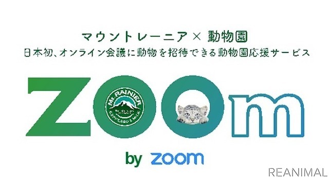 動物をオンライン会議に招待できる「深い癒やしオンライン会議 ZOOm」、5月よりスタート