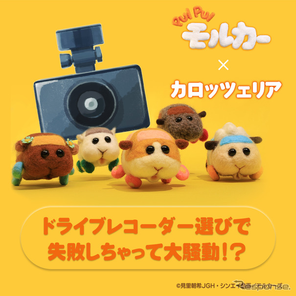 ドライブレコーダー選びで失敗しちゃって大騒動！？