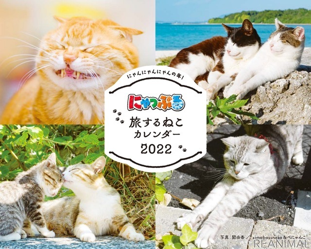 「にゃっぷる 旅するねこカレンダー2022 卓上版」発売