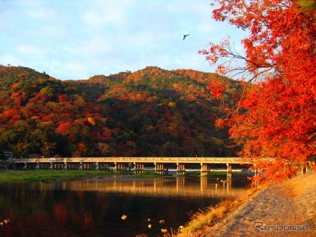 京都嵐山（イメージ）