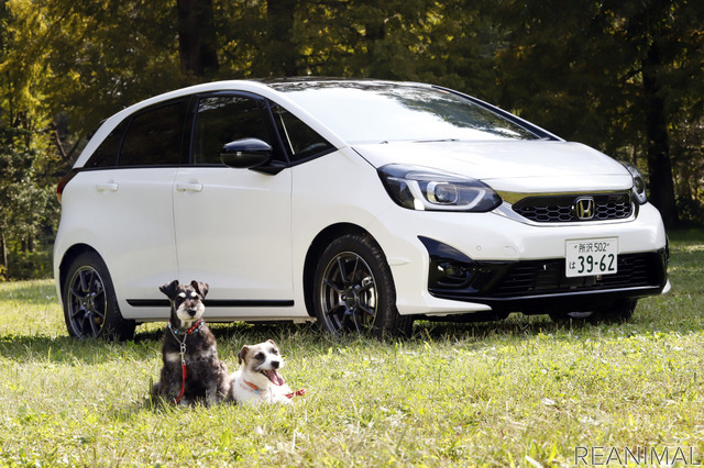 Honda フィット e: HEV Modulo Xで愛犬とドライブ