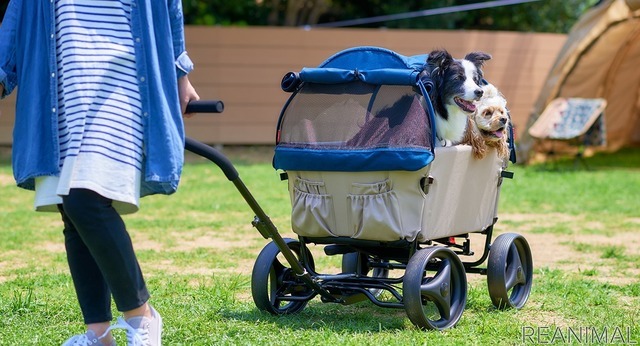 アウトドアペットワゴン---小型犬の多頭飼いや中型犬向けの大型ワゴン