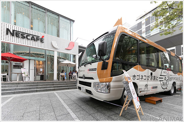 「ピュリナ ネコのバス 日本あちこち 保護猫 譲渡会」カインズ 朝霞店で開催