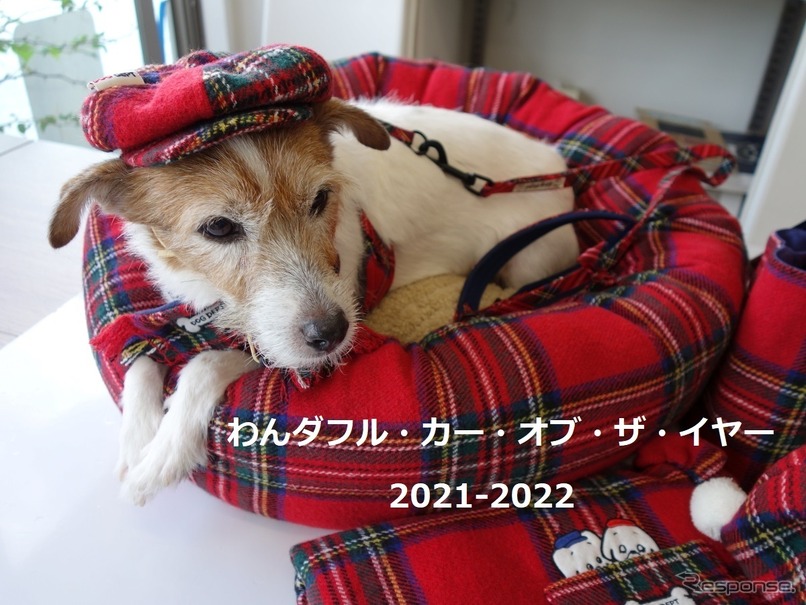 2021年 わんダフルカー・オブ・ザ・イヤー決定