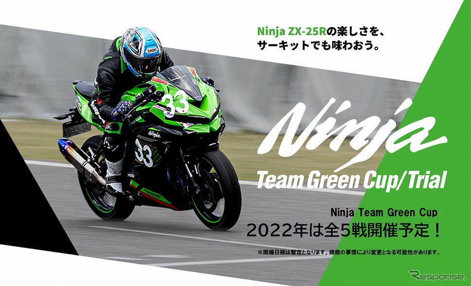 Ninja Team Green Cup