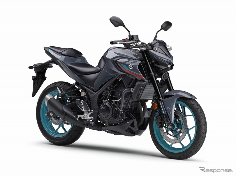ヤマハ MT-25 ABS（パステルダークグレー）