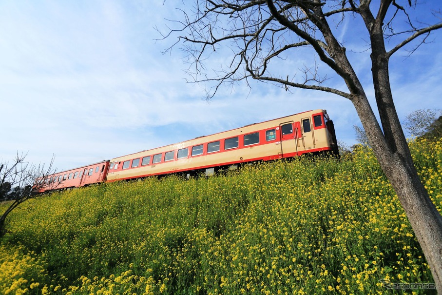 2023年2月初旬に引退する予定のキハ28 2346（後部はキハ52 125）。レストラン列車は11時18分に大多喜駅を出発。上総中野駅と大原駅で折り返し、13時52分に大多喜に戻るスケジュール。