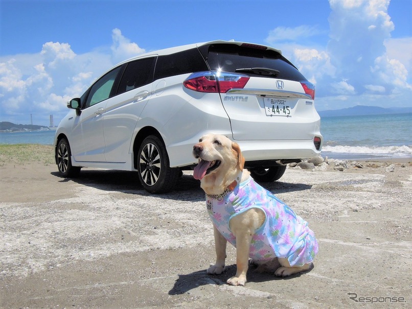 わが家の夏の愛犬連れドライブ8か条