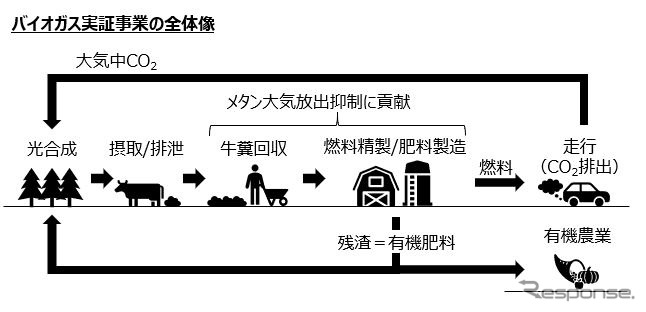 バイオガス実証事業の全体像