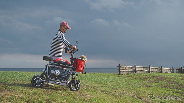 The Dog Bike PONY
